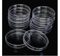 10 x 90mm plastic Petri Dishes gamma sterilized